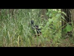 Đi leo núi nhưng vẫn không quên làm tình cùng em