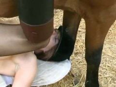 Cặc Ngựa Đủ To Khiến Quý Bà Nhanh Chóng Hồi Xuân