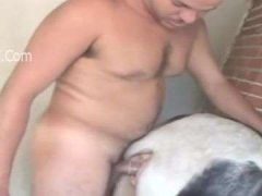 Chơi Cái Bím Khít Rịt Của Chú Ngựa Cưng