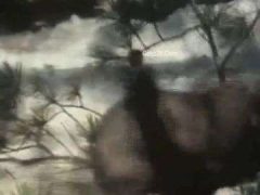 Clip Sex Thú Tổng Hợp Lồn Dâm Thích Đụ Nhiều Con Cặc Khác Nhau