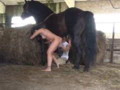 Đôi Trai Gái Thích Rủ Ngựa Cùng Chung Cuộc Yêu