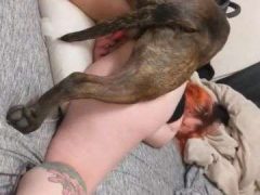 Nữ Sinh Thiếu Thốn Hơi Trai Nên Phải Làm Tình Cùng Chó