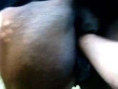 Trò Chơi Thách Thức Nhét Tay Vào Cái Lồn Của Ngựa Cái