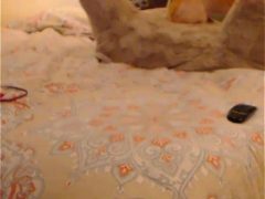 Người Yêu Cũ Làm Tình Cực Kỳ Mạnh Bạo